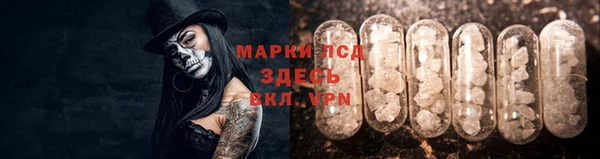 стафф Алзамай